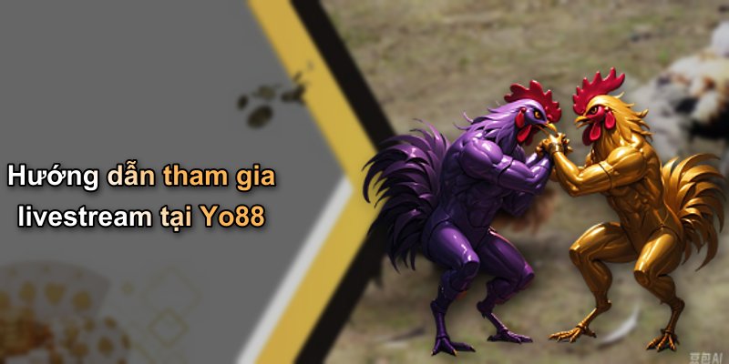 Hướng dẫn tham gia livestream tại Yo88