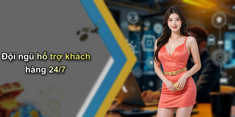 Đội ngũ hỗ trợ khách hàng 24/7
