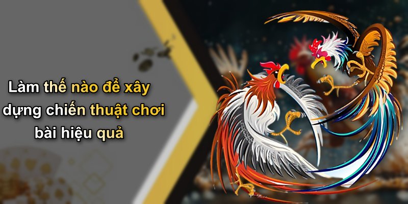 Làm thế nào để xây dựng chiến thuật chơi bài hiệu quả
