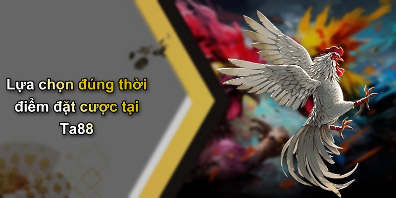 Lựa chọn đúng thời điểm đặt cược tại Ta88