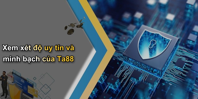 Xem xét độ uy tín và minh bạch của Ta88