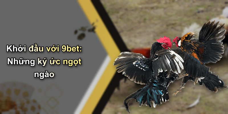 Khởi đầu với 9bet: Những ký ức ngọt ngào