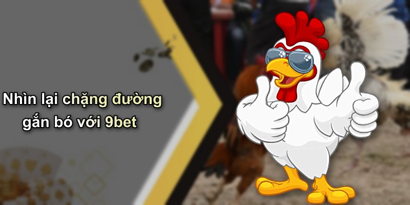 Nhìn lại chặng đường gắn bó với 9bet