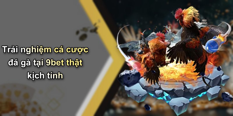 Trải nghiệm cá cược đá gà tại 9bet thật kịch tính