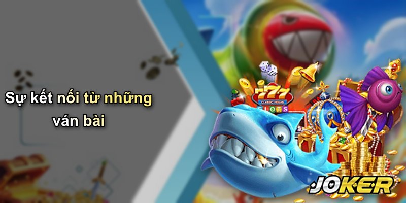 Sự kết nối từ những ván bài