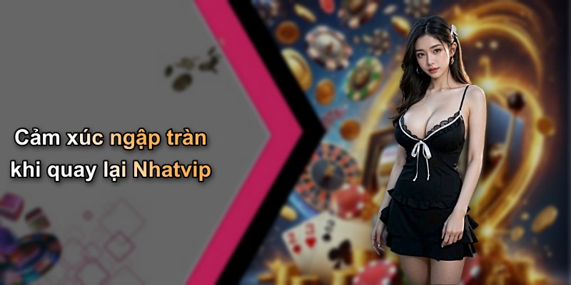 Cảm xúc ngập tràn khi quay lại Nhatvip