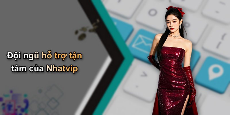 Đội ngũ hỗ trợ tận tâm của Nhatvip