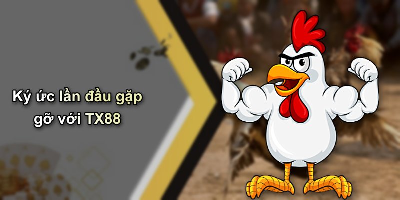 Ký ức lần đầu gặp gỡ với TX88