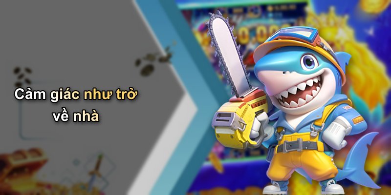 Cảm giác như trở về nhà