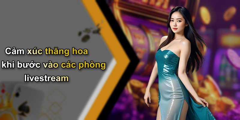 Cảm xúc thăng hoa khi bước vào các phòng livestream