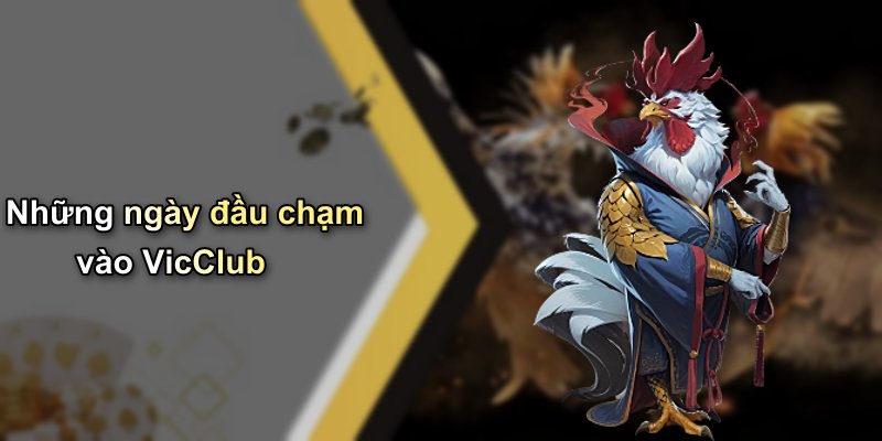 Những ngày đầu chạm vào VicClub