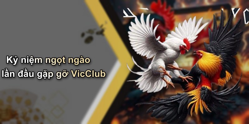 Kỷ niệm ngọt ngào lần đầu gặp gỡ VicClub