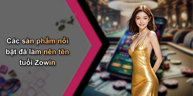 Các sản phẩm nổi bật đã làm nên tên tuổi Zowin