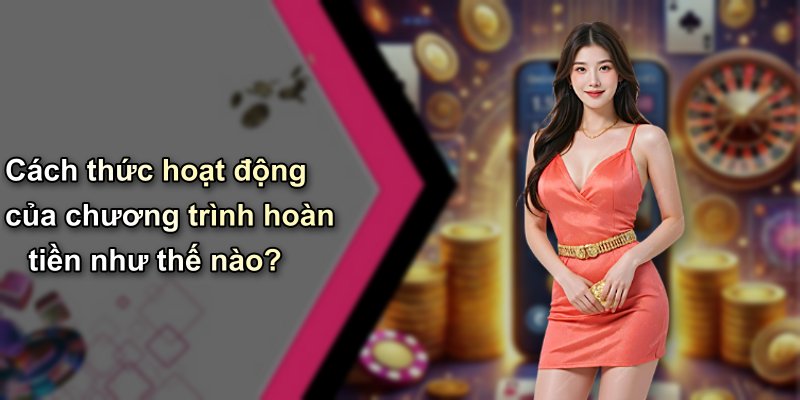Cách thức hoạt động của chương trình hoàn tiền như thế nào?