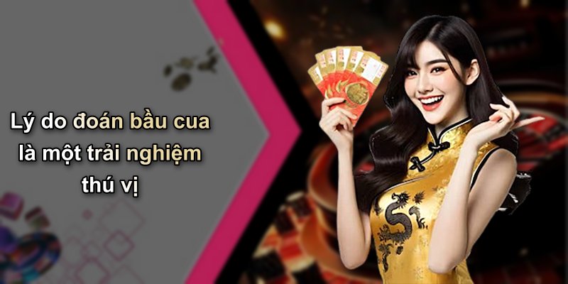Lý do đoán bầu cua là một trải nghiệm thú vị