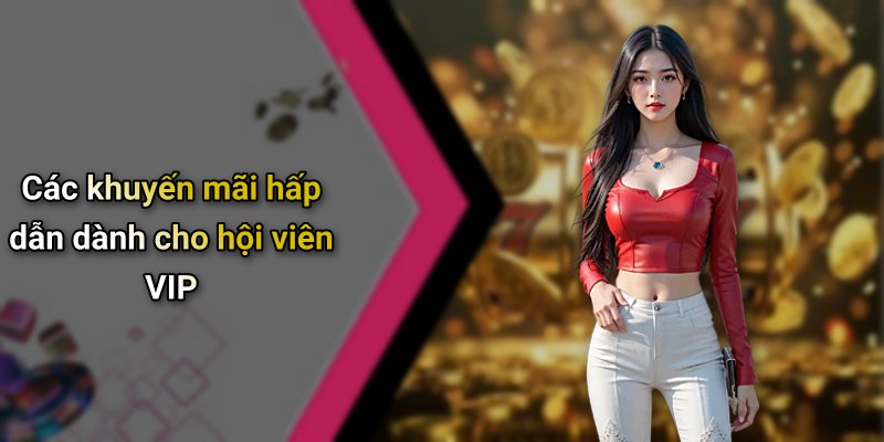 Các khuyến mãi hấp dẫn dành cho hội viên VIP