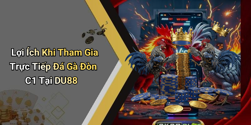 Lợi Ích Khi Tham Gia Trực Tiếp Đá Gà Đòn C1 Tại DU88