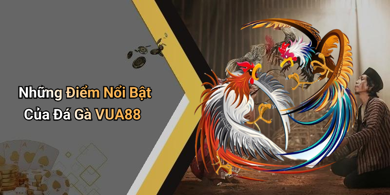 Những Điểm Nổi Bật Của Đá Gà VUA88