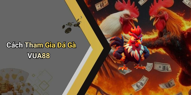 Cách Tham Gia Đá Gà VUA88