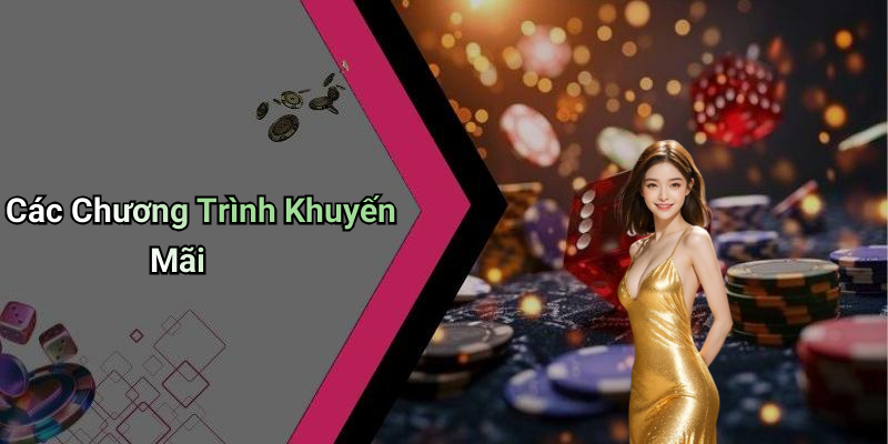 Các Chương Trình Khuyến Mãi