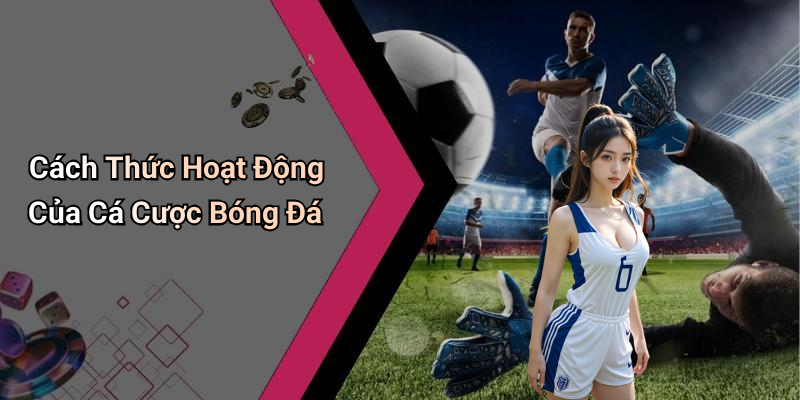 Cách Thức Hoạt Động Của Cá Cược Bóng Đá