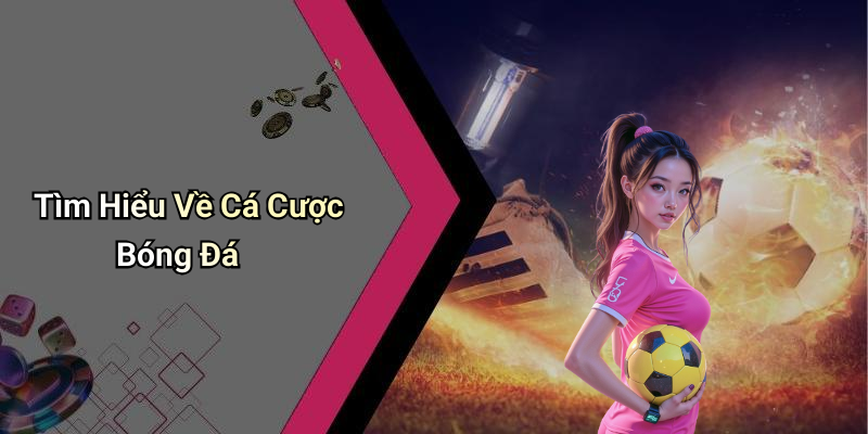 Tìm Hiểu Về Cá Cược Bóng Đá