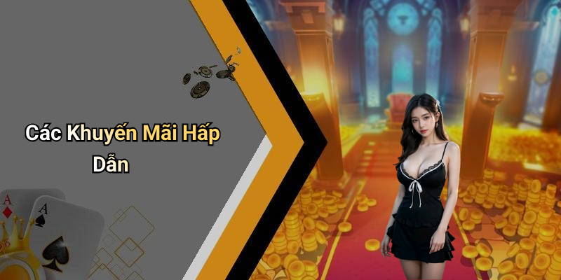 Các Khuyến Mãi Hấp Dẫn