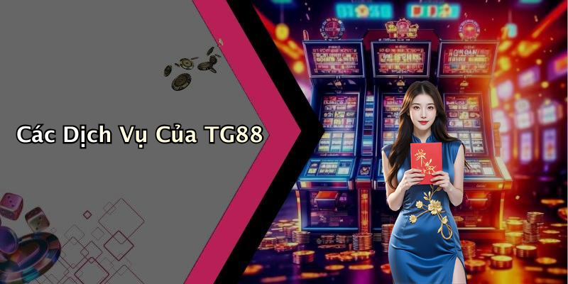 Các Dịch Vụ Của TG88