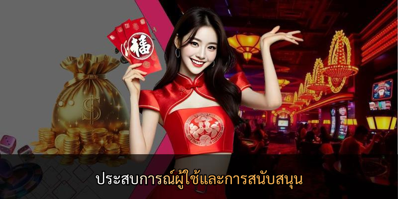 ประสบการณ์ผู้ใช้และการสนับสนุน
