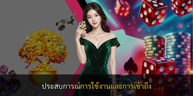 ประสบการณ์การใช้งานและการเข้าถึง