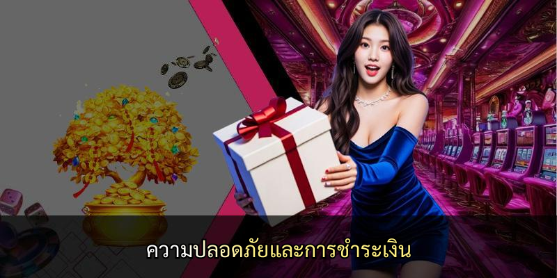 ความปลอดภัยและการชำระเงิน
