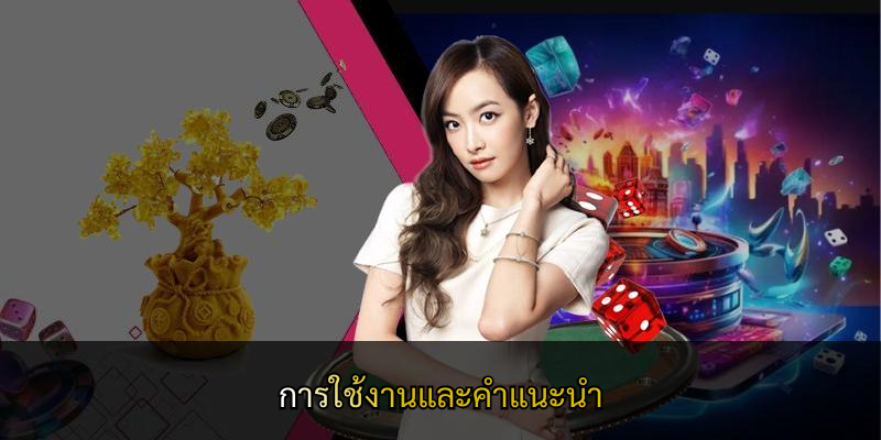 การใช้งานและคำแนะนำ