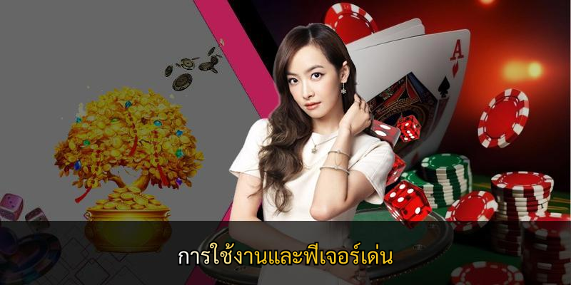การใช้งานและฟีเจอร์เด่น