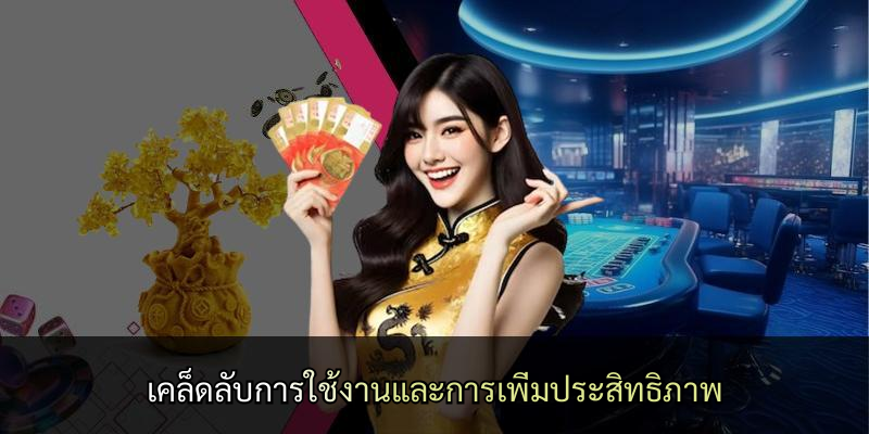 เคล็ดลับการใช้งานและการเพิ่มประสิทธิภาพ