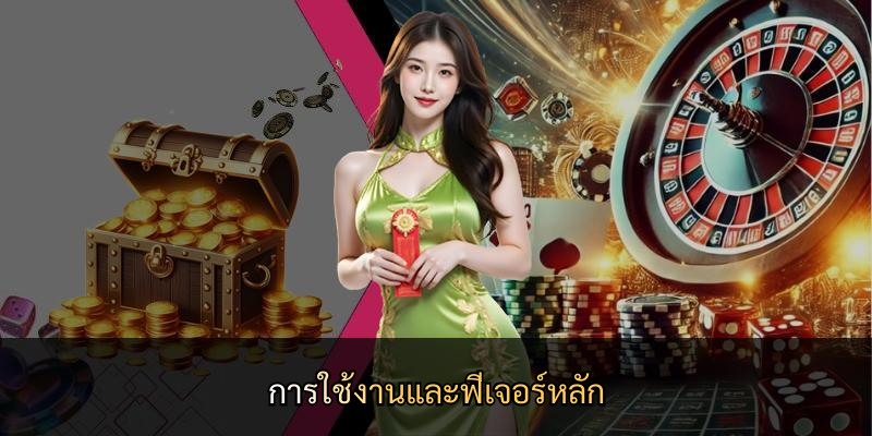การใช้งานและฟีเจอร์หลัก