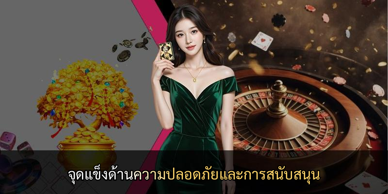 จุดแข็งด้านความปลอดภัยและการสนับสนุน