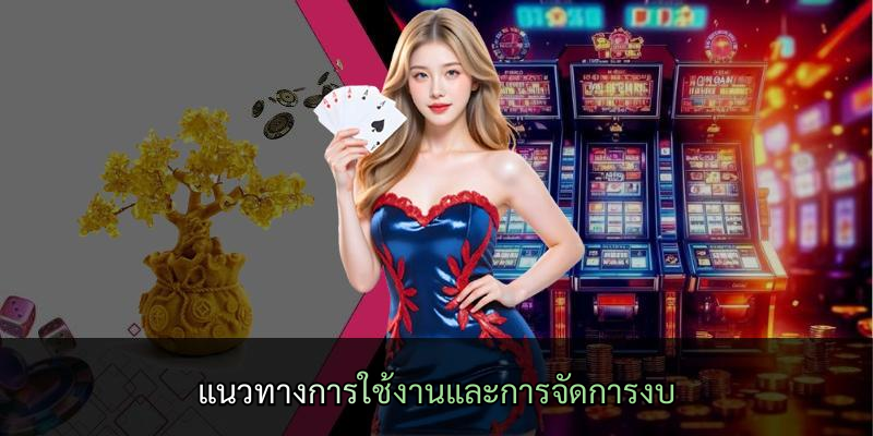 แนวทางการใช้งานและการจัดการงบ