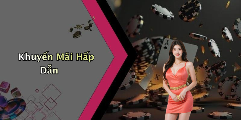 Khuyến Mãi Hấp Dẫn