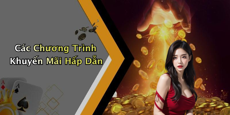 Các Chương Trình Khuyến Mãi Hấp Dẫn