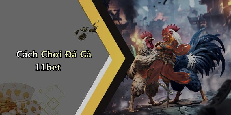 Cách Chơi Đá Gà 11bet