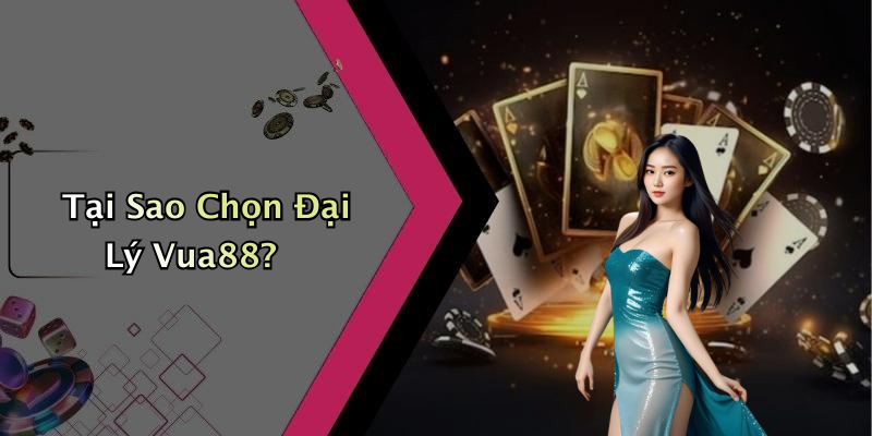 Tại Sao Chọn Đại Lý Vua88?