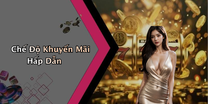 Chế Độ Khuyến Mãi Hấp Dẫn