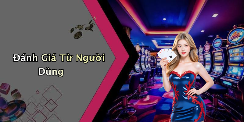 Đánh Giá Từ Người Dùng