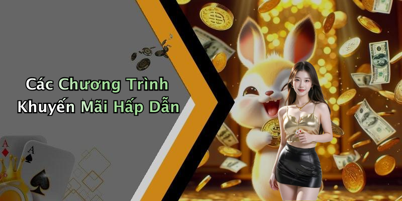 Các Chương Trình Khuyến Mãi Hấp Dẫn
