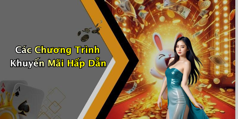 Các Chương Trình Khuyến Mãi Hấp Dẫn