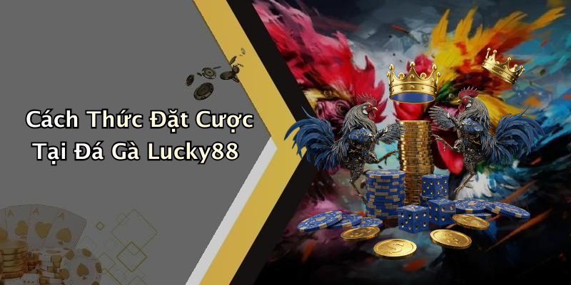 Cách Thức Đặt Cược Tại Đá Gà Lucky88