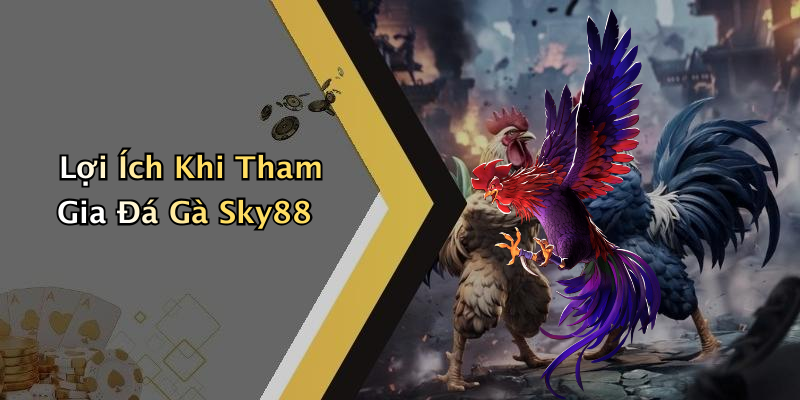 Lợi Ích Khi Tham Gia Đá Gà Sky88