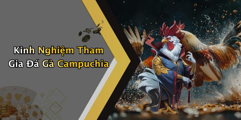 Kinh Nghiệm Tham Gia Đá Gà Campuchia