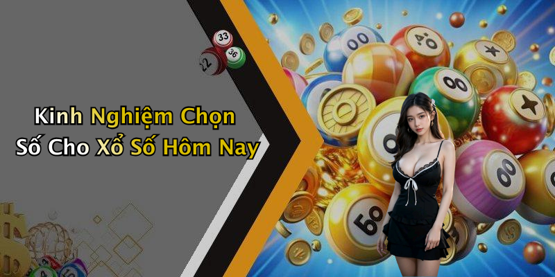 Kinh Nghiệm Chọn Số Cho Xổ Số Hôm Nay