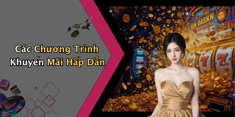 Các Chương Trình Khuyến Mãi Hấp Dẫn